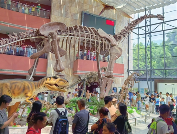 8天累計(jì)接待逾10萬人次